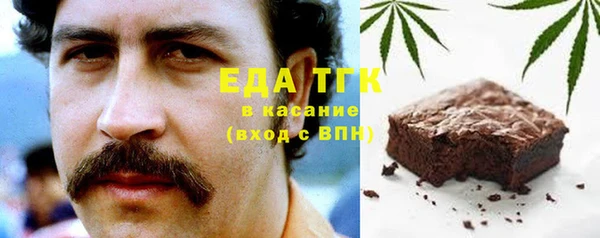 индика Балабаново