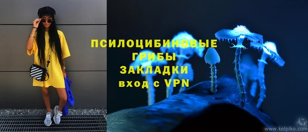 мяу мяу мука Баксан