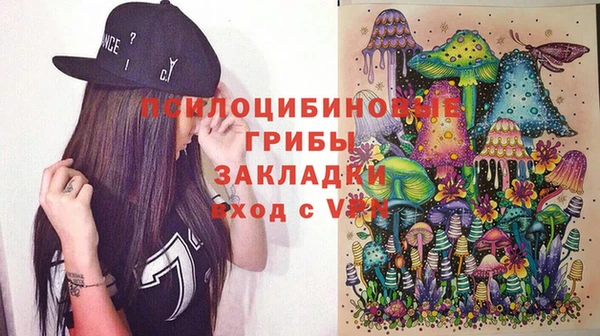 мяу мяу мука Баксан