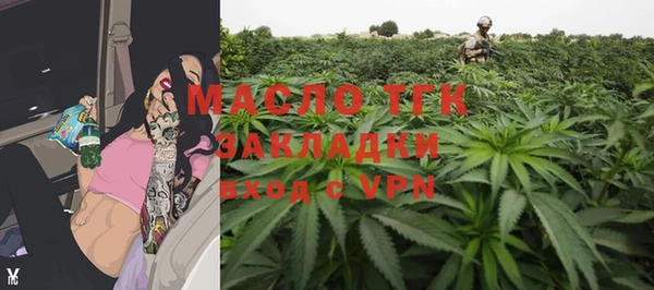 индика Балабаново